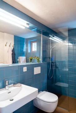 Umbau Stall bzw. Wohnhaus im Wallis - Badezimmer