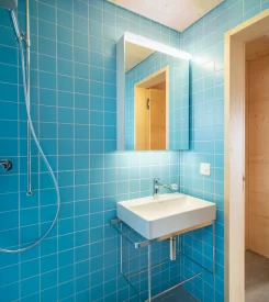 Umbau Stall bzw. Wohnhaus im Goms - Badezimmer