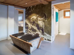 Umbau Stall bzw. Wohnhaus im Goms - Umbau Badezimmer